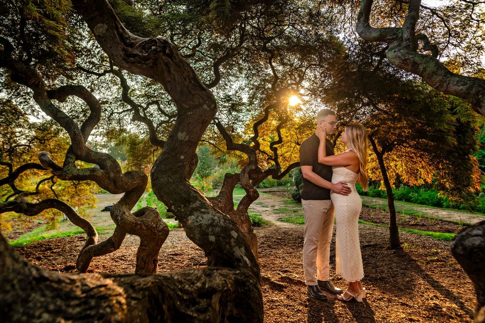 A romantic sunset moment captured under twisted trees in a garden with golden light filtering through branches.