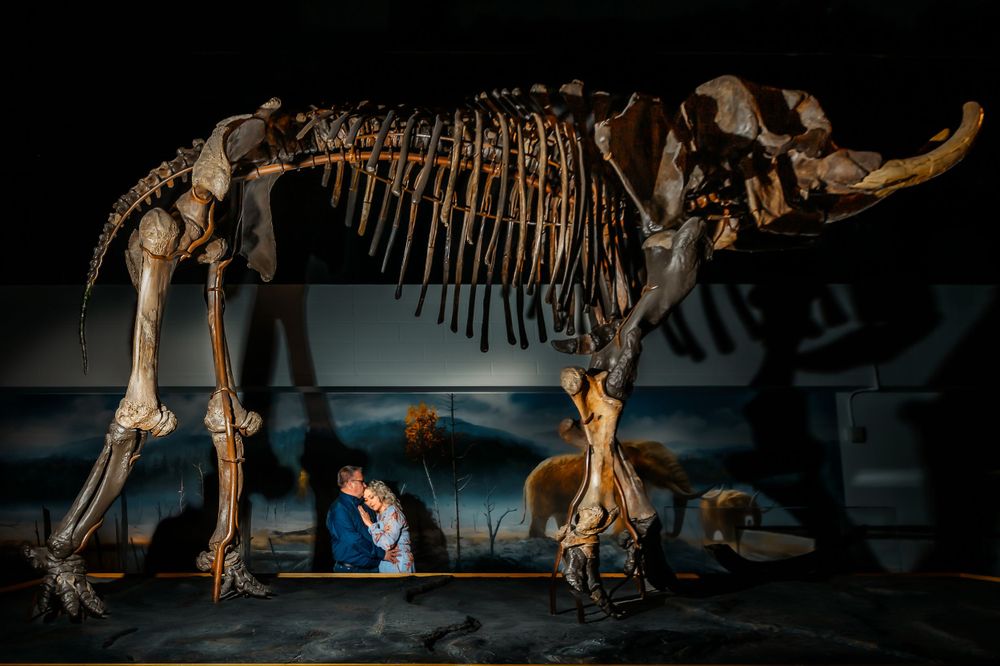 An ancient mammoth skeleton displayed in a museum with dramatic lighting highlighting its massive prehistoric bones and tusks.