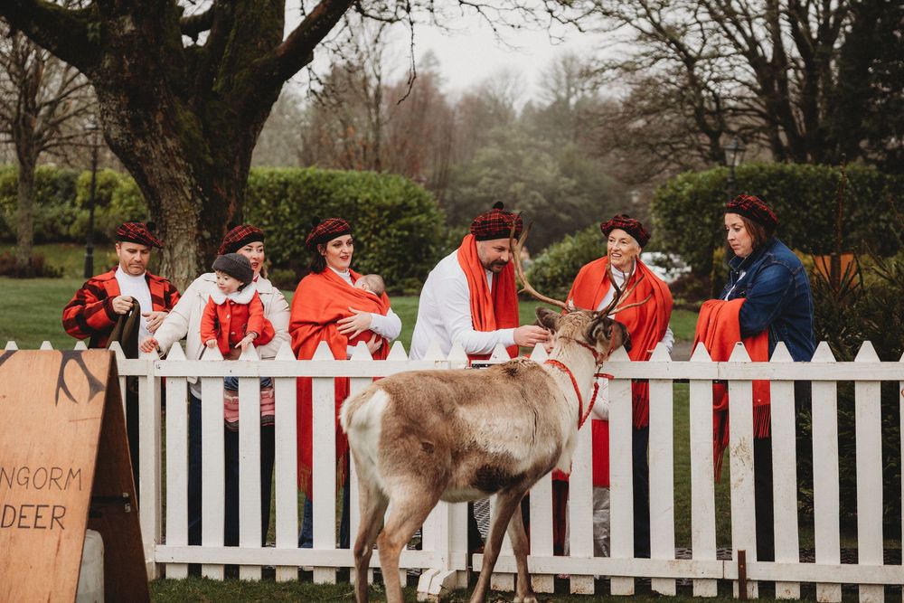 People in traditional Sami costumes stand behind a white picket fence with a reindeer at Cairngorm Deer park.