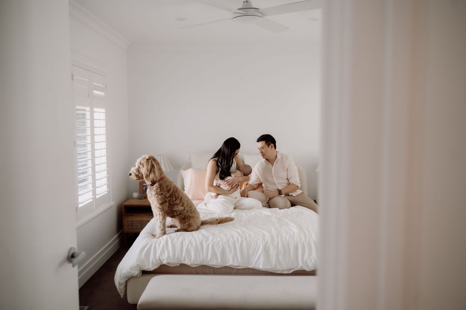 Cozy morning scene in bright bedroom with people and golden dog relaxing on white bed.