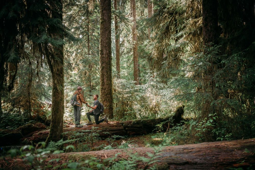 Charlotte Ann Photography - Couples Portrait Photography. Pacific Northwest Photographer. Forks, Washington Photographer. Proposal Session.
