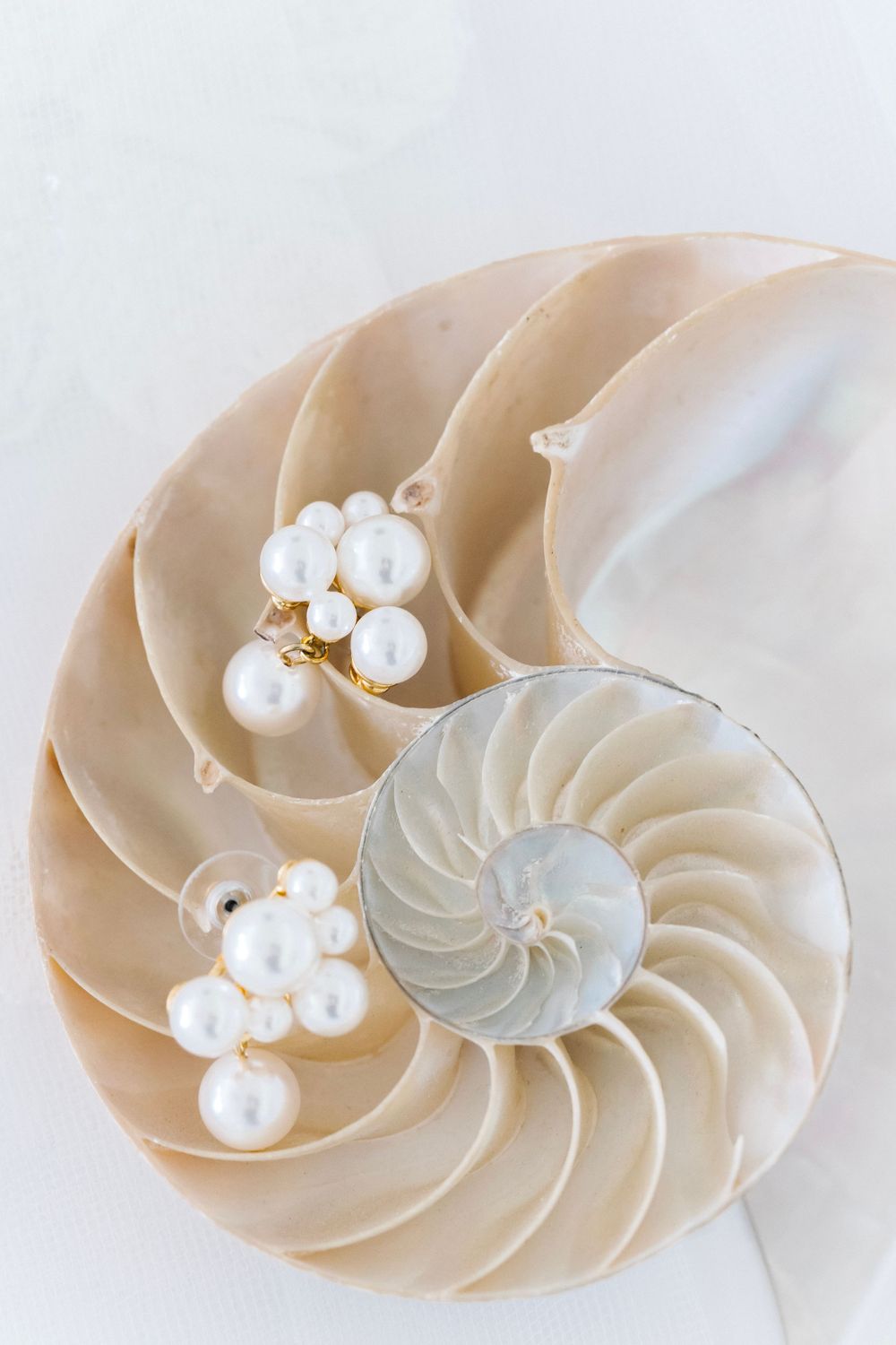 Cross-section of a nautilus shell displaying spiral chambers with elegant pearl cluster earrings resting inside on white background.