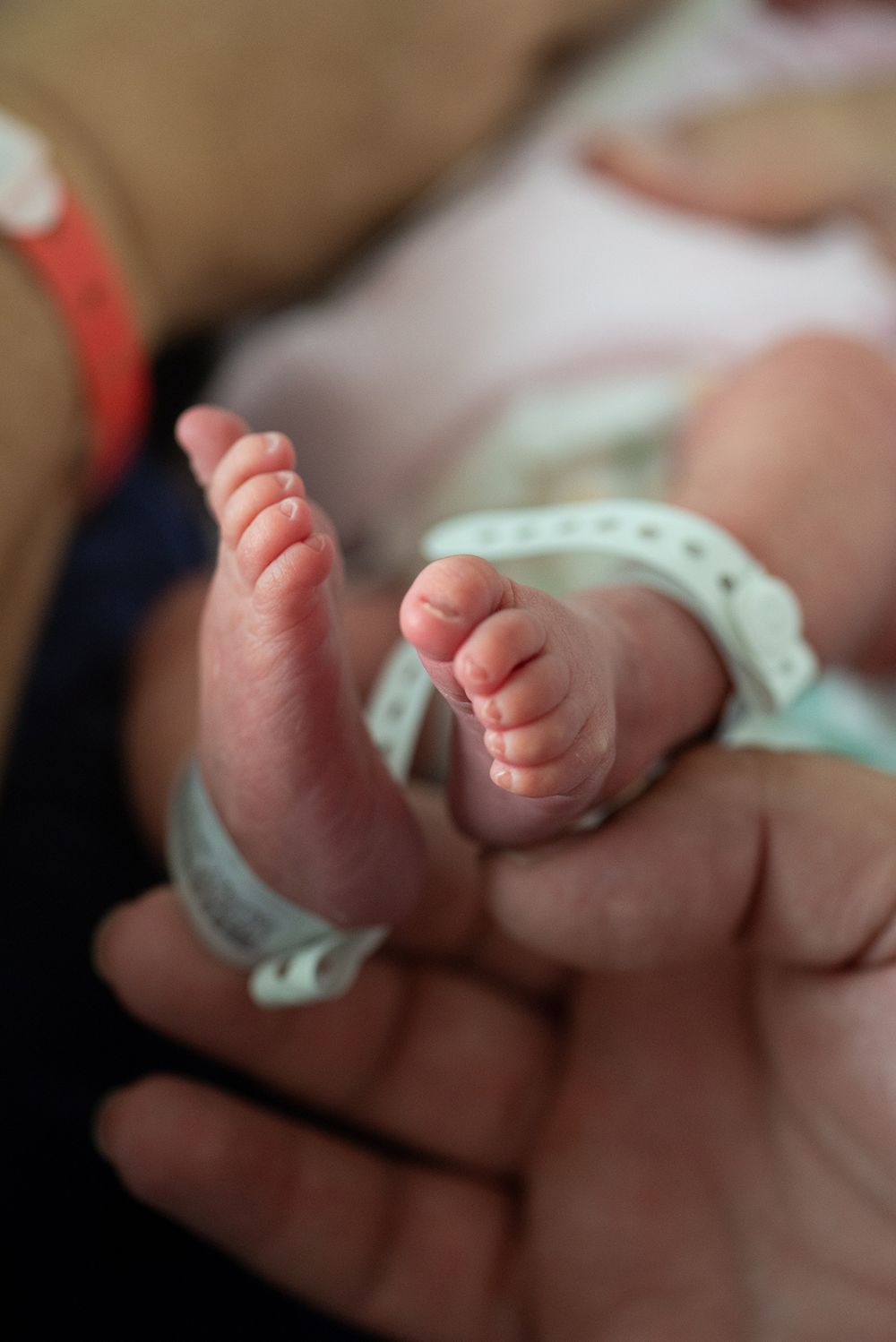 Photo of newborn babies feet with hospital tags still on feet - Kelly Chapman Photographer Perth