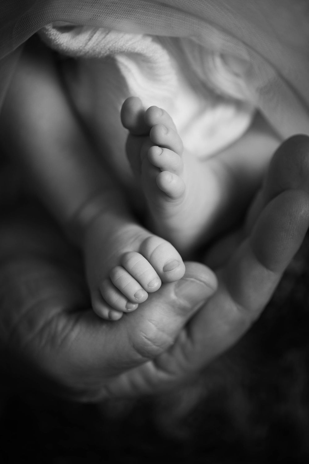 Black and white photo of a newborns feet in their parents hand - Kelly Chapman Photographer Perth