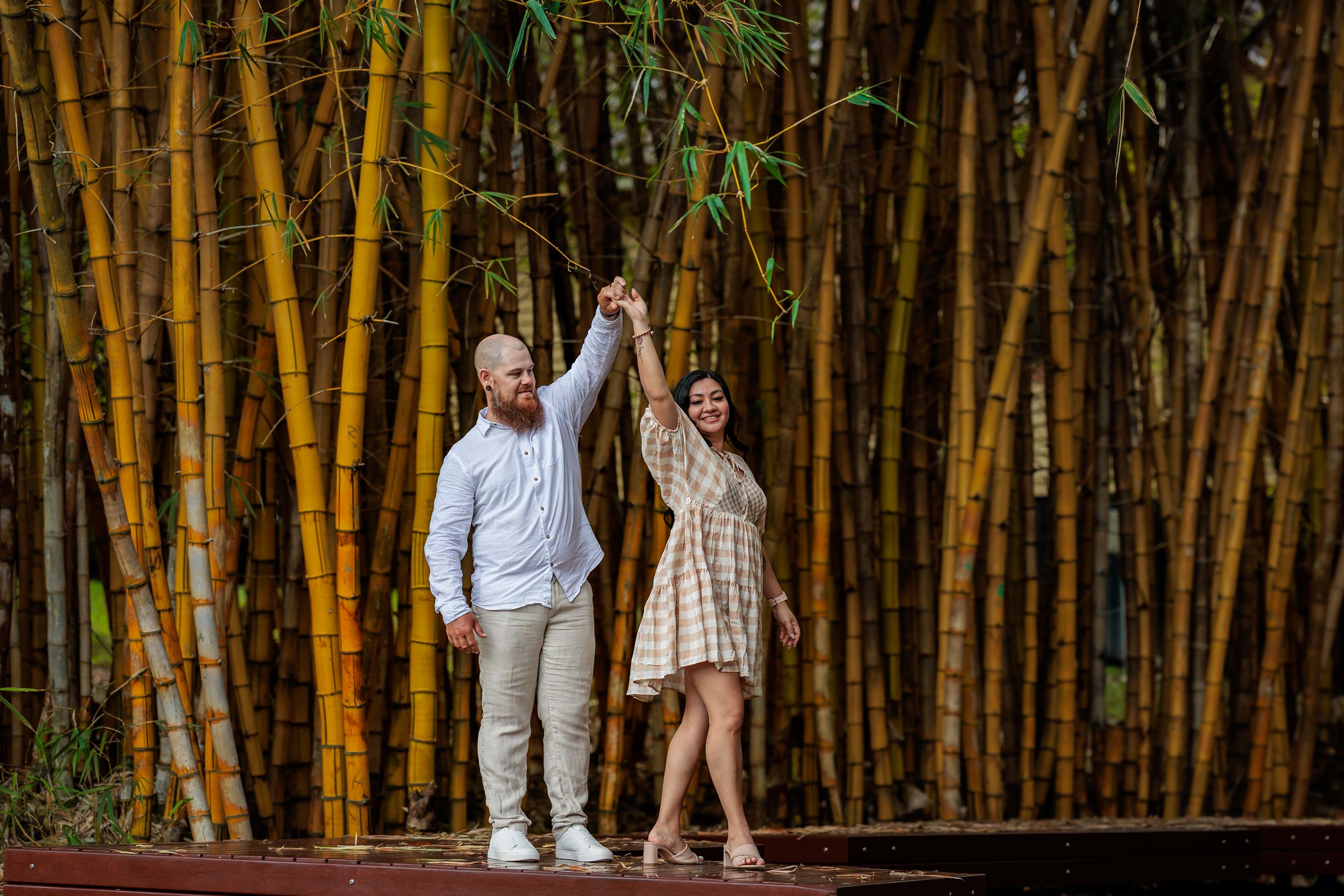 engagement Photography Mount Coot-tha botanical gardens