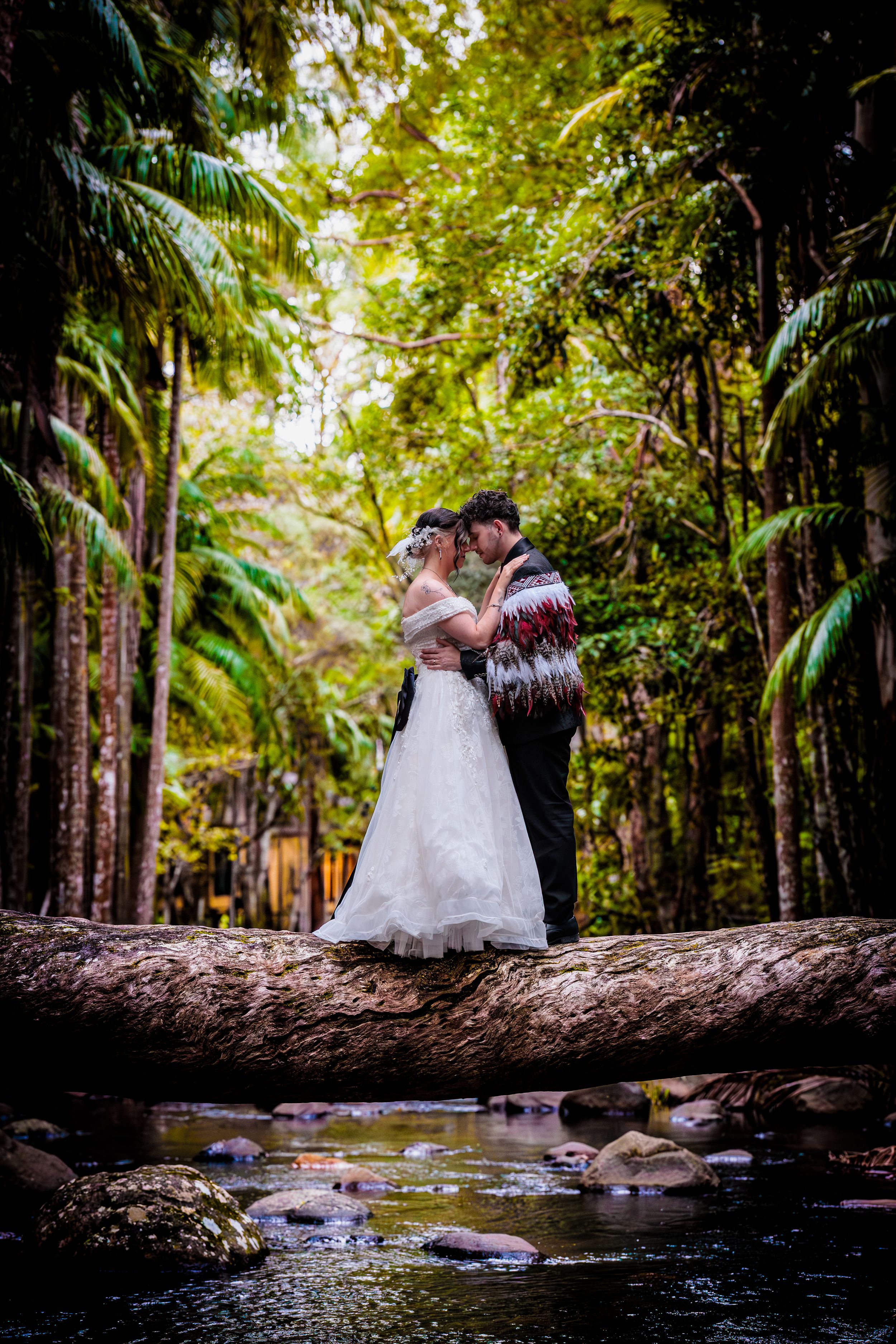 Bride and groom embrace on a log over a stream in a lush tropical forest wedding photo. Wedding Photography Tamborine Mountain Glades