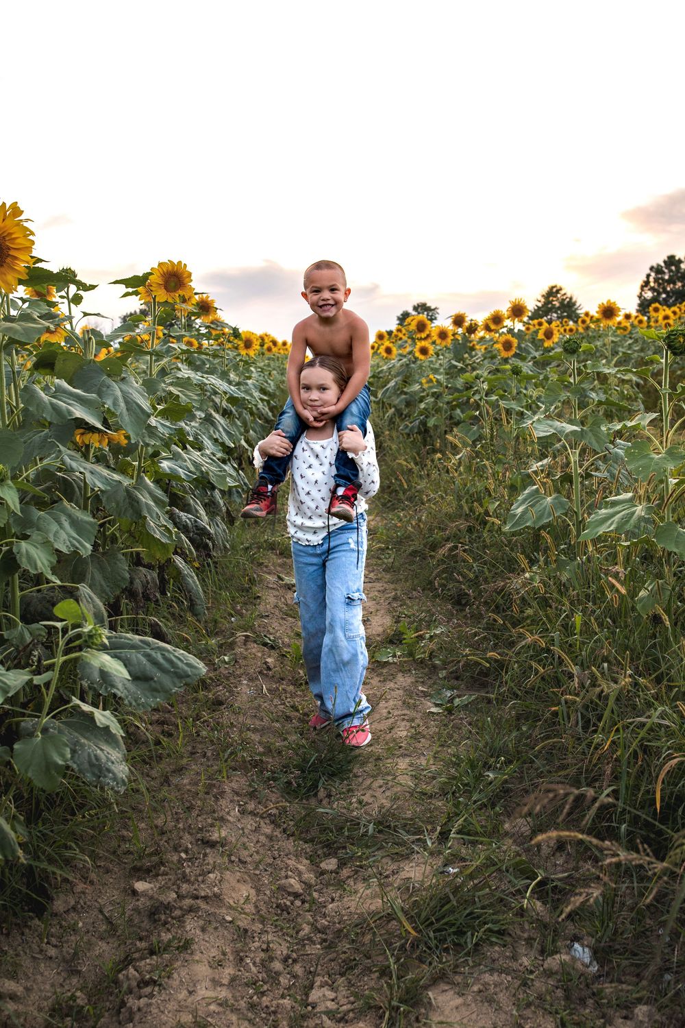 Glo Photo and Design captures sunset family photography session at Medina Sunflower fields