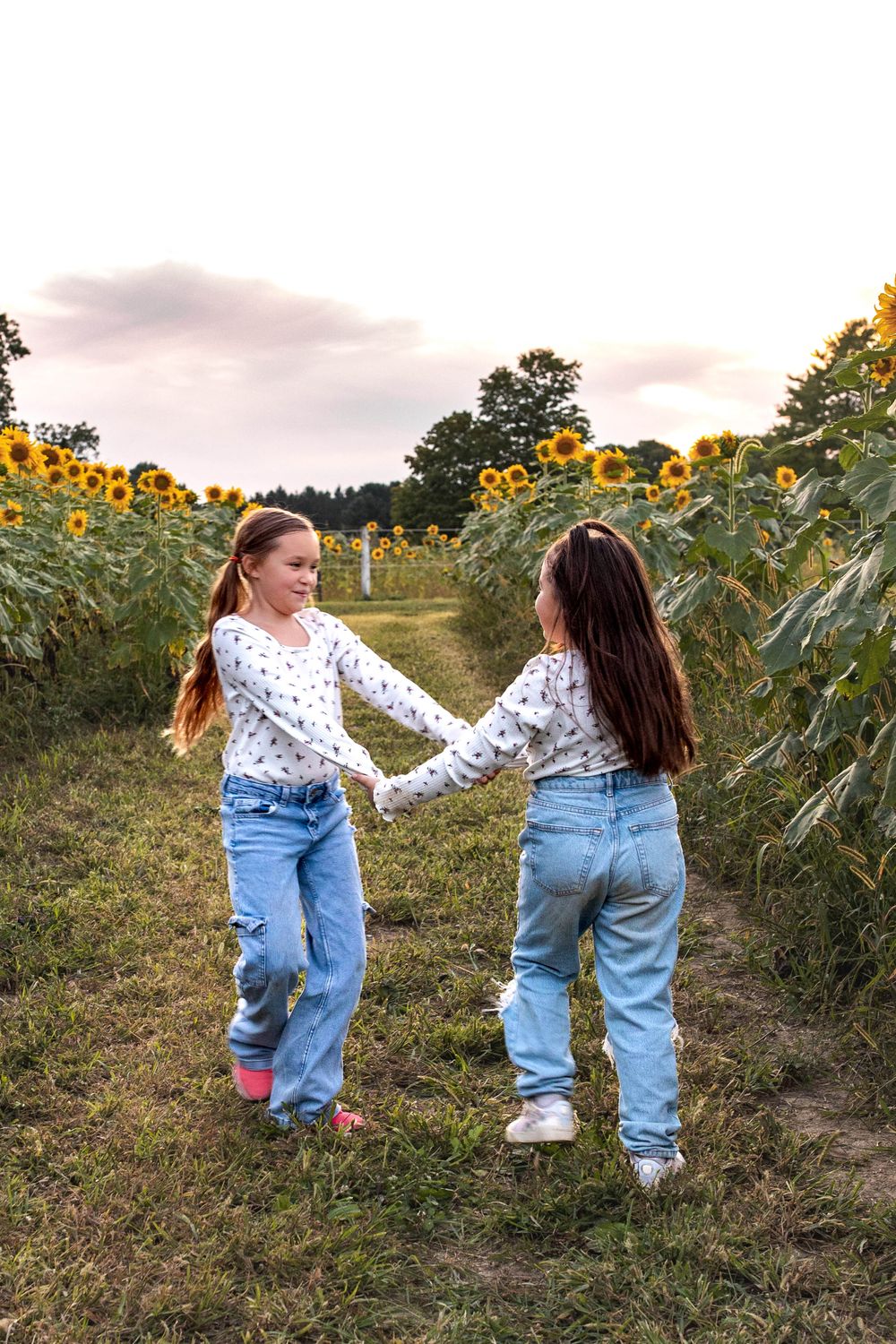 Glo Photo and Design captures sunset family photography session at Medina Sunflower fields