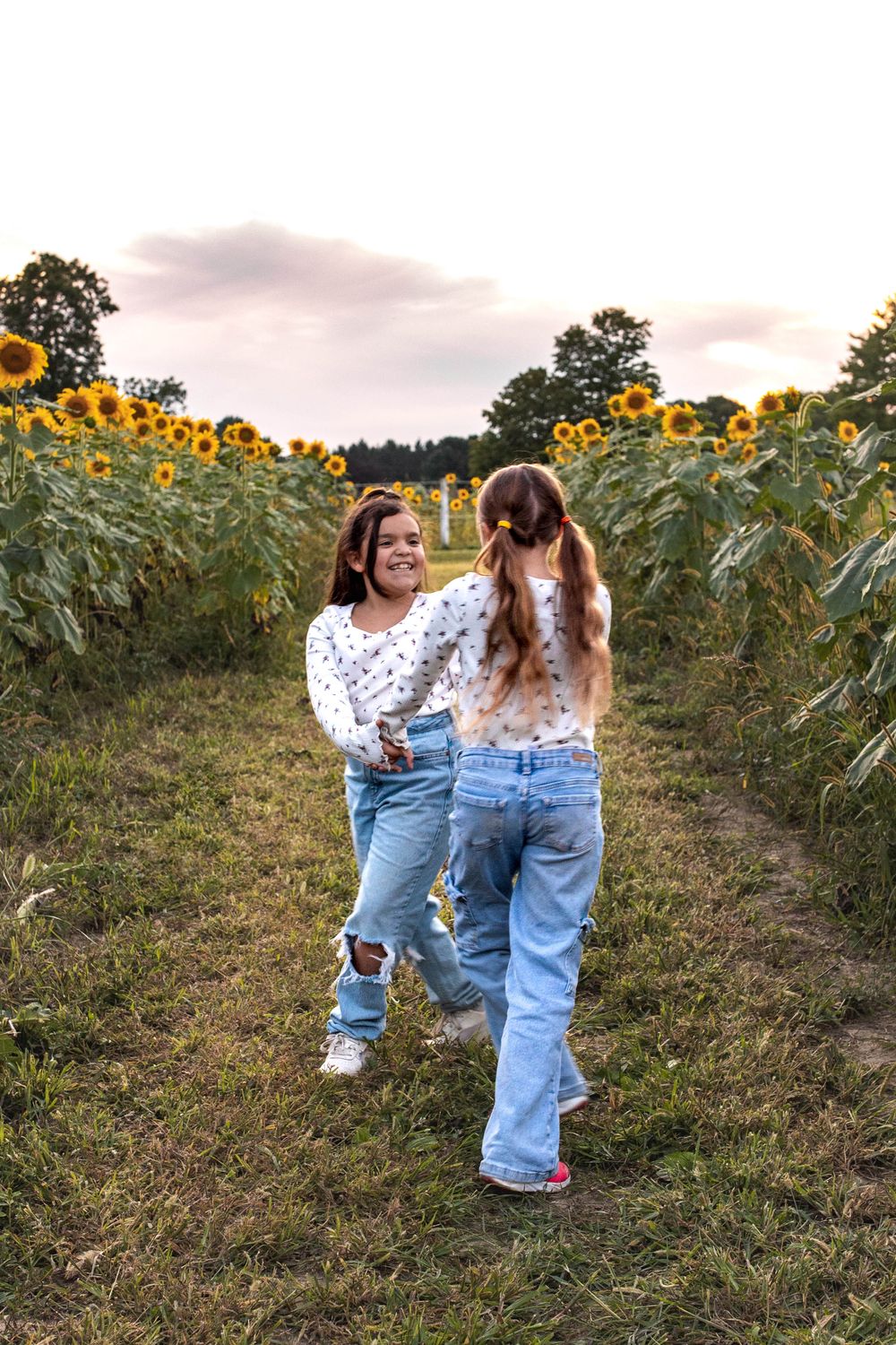 Glo Photo and Design captures sunset family photography session at Medina Sunflower fields