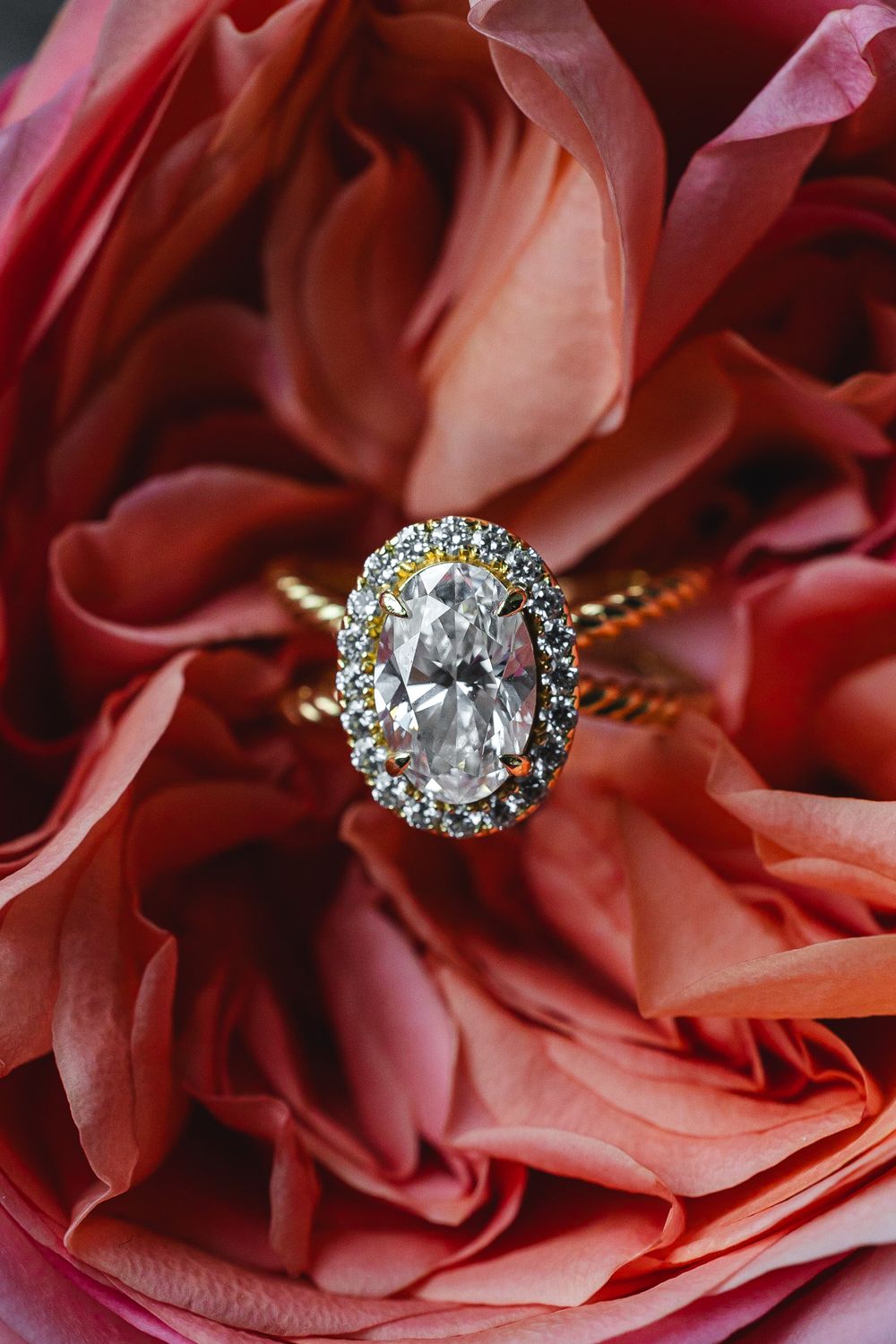 A sparkling diamond engagement ring nestled among soft coral rose petals in a macro photography shot.