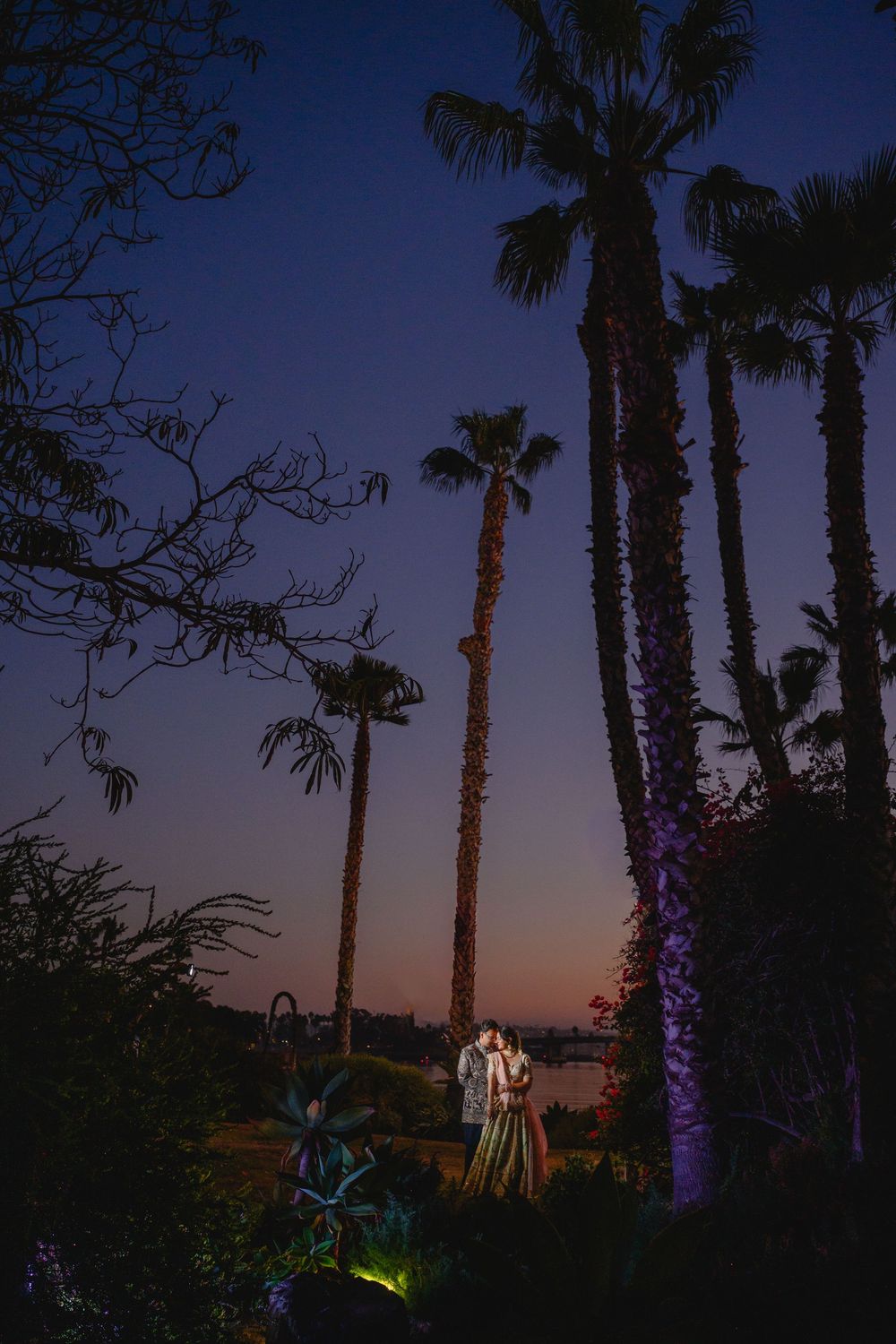 Palm trees silhouetted against a purple and orange sunset sky with decorative blue lights illuminating the scene.