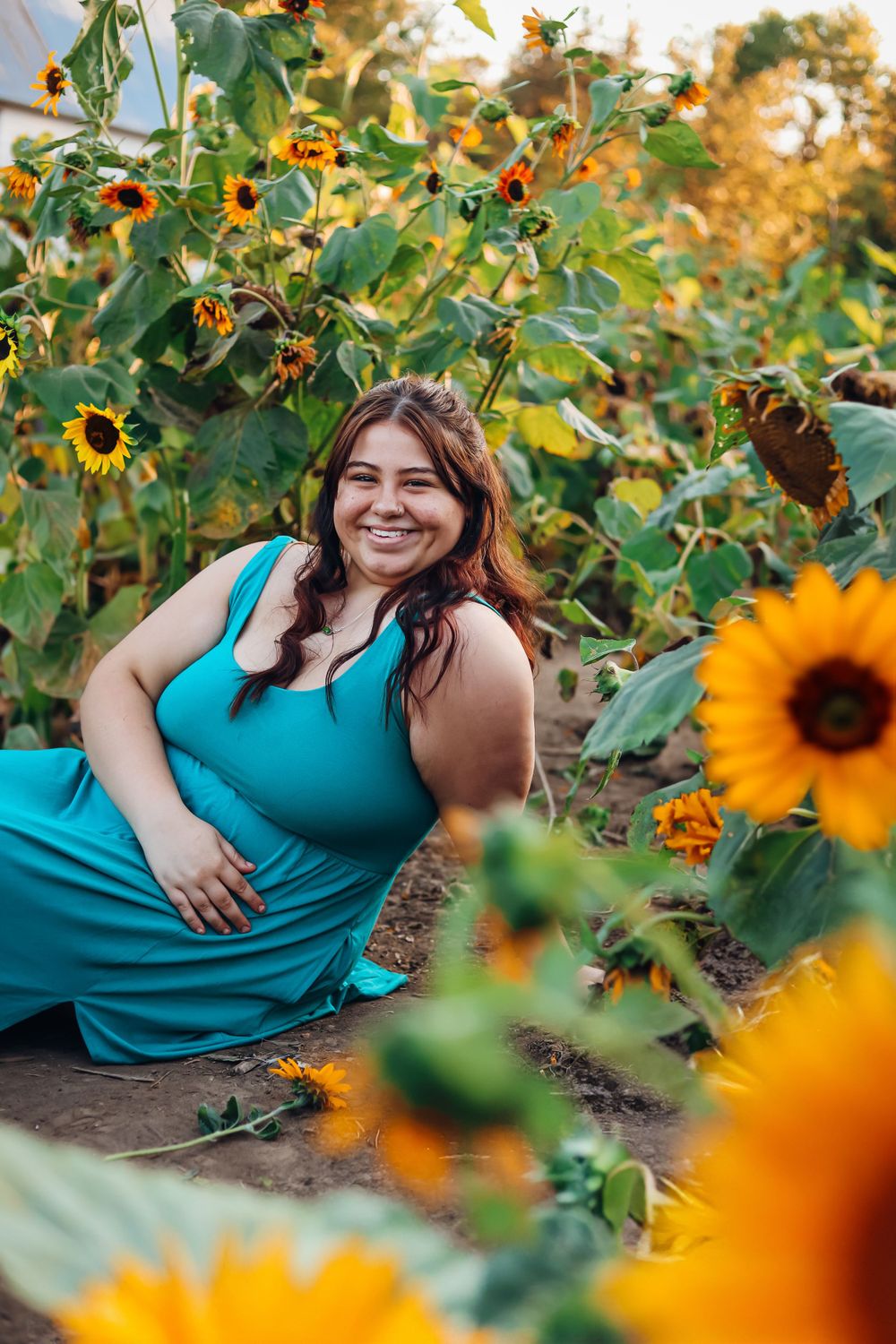 Beautiful sunflower garden scene with vibrant yellow blooms in golden evening light. Senior session
