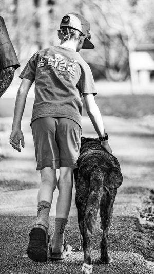 Black and white photo of a boy walking a large dog on a leash down a path, wearing a cap, t-shirt, and shorts.