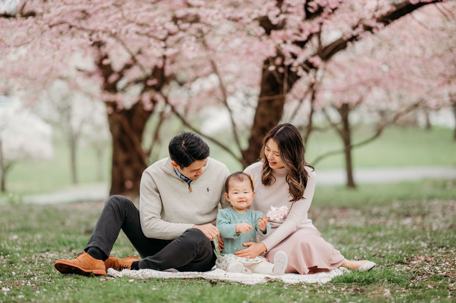 Family spending time together under blooming pink cherry blossom trees during springtime at Branch Brook Park in Belleville.