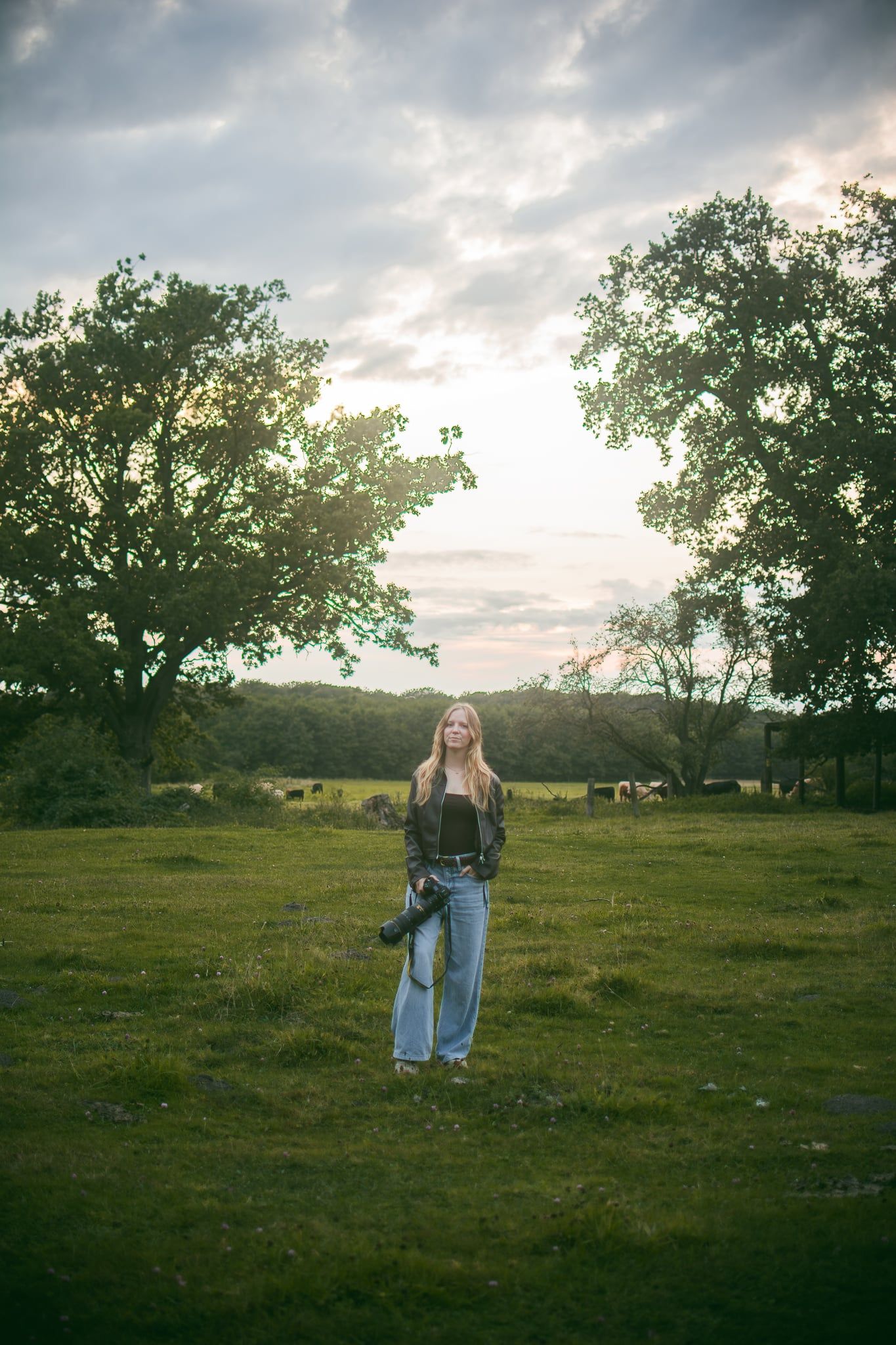 Häst Fotograf Clara Nilsson