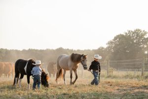 Two ranchers tend to horses in misty field during sunset.