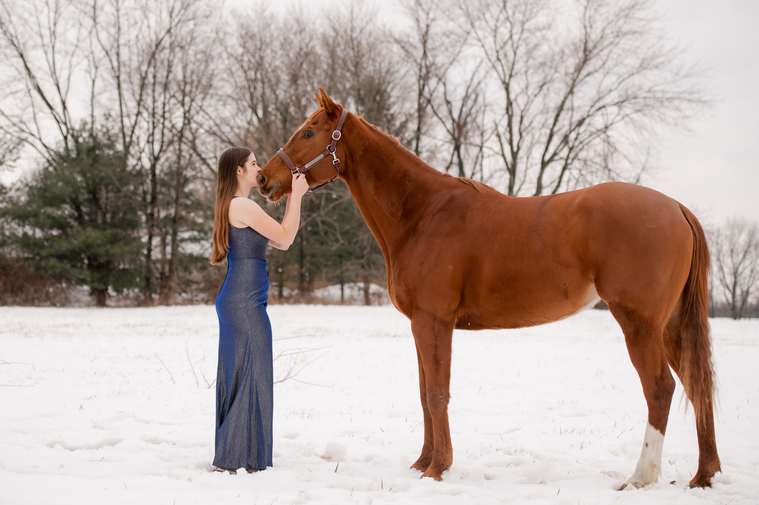 A horse and admirer share a tender moment in a snowy winter landscape.