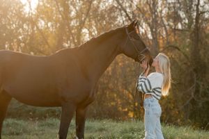 A chestnut horse and someone in white clothing share a tender moment at sunset in a pastoral setting.