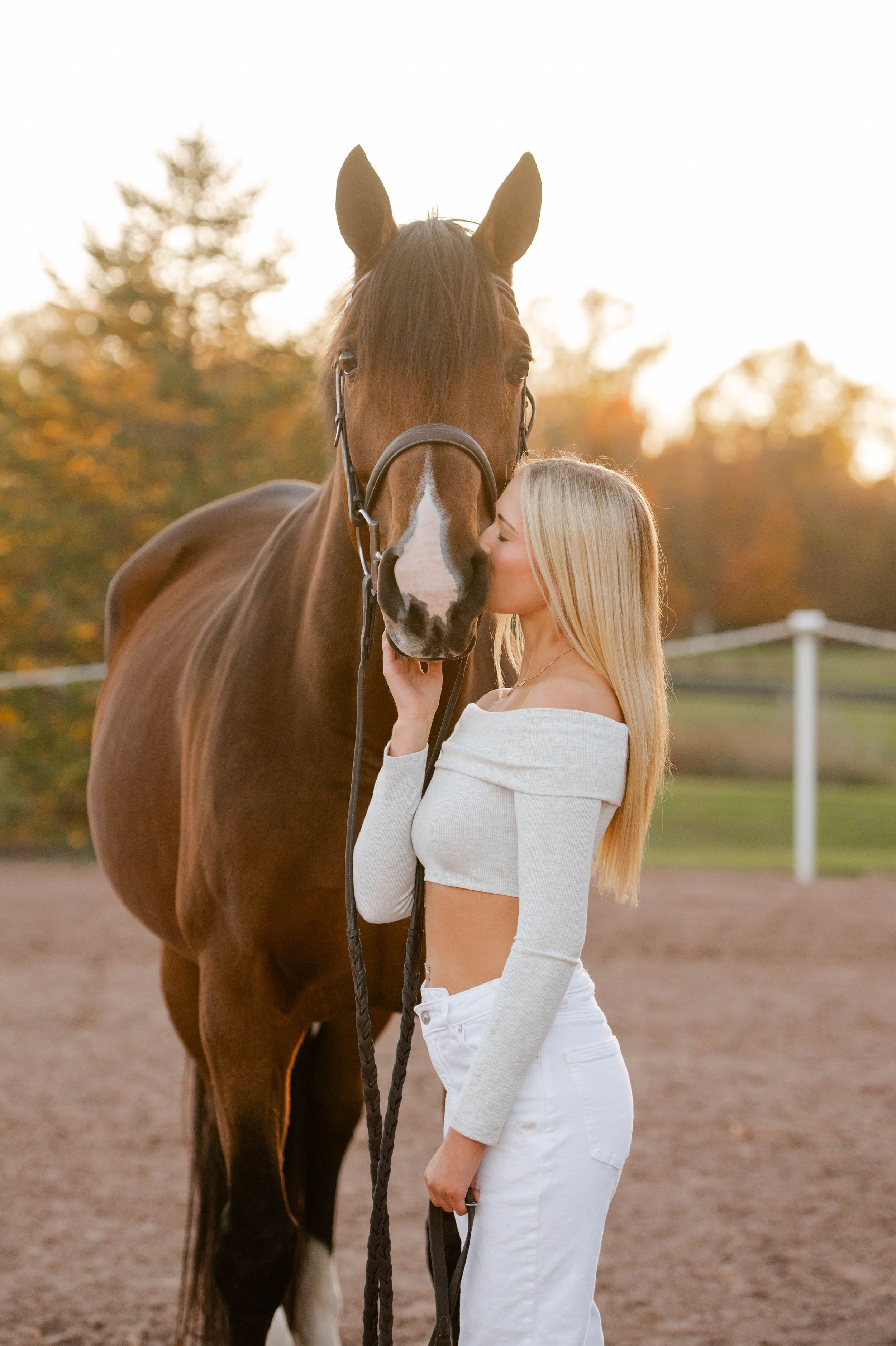 A bay horse with white facial markings receives affection in golden evening light.