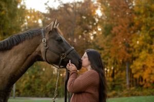 A brown horse receives affection against a backdrop of autumn trees with orange leaves.
