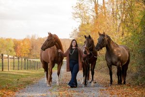 A group of horses walks along an autumn path with their handler surrounded by vibrant fall foliage.