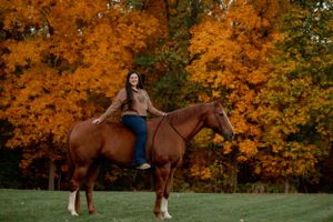 A rider sits atop a chestnut horse in front of brilliant orange fall foliage.