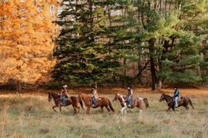 A line of horseback riders traverse an autumn trail with golden foliage in the background.