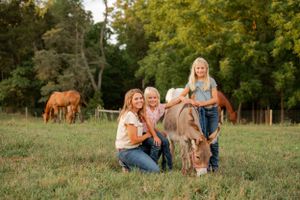 People gather around a miniature pony in a grassy field with horses grazing in the background.
