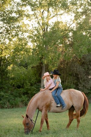 A peaceful scene of horse grazing while riders rest on its back in late afternoon sunlight.