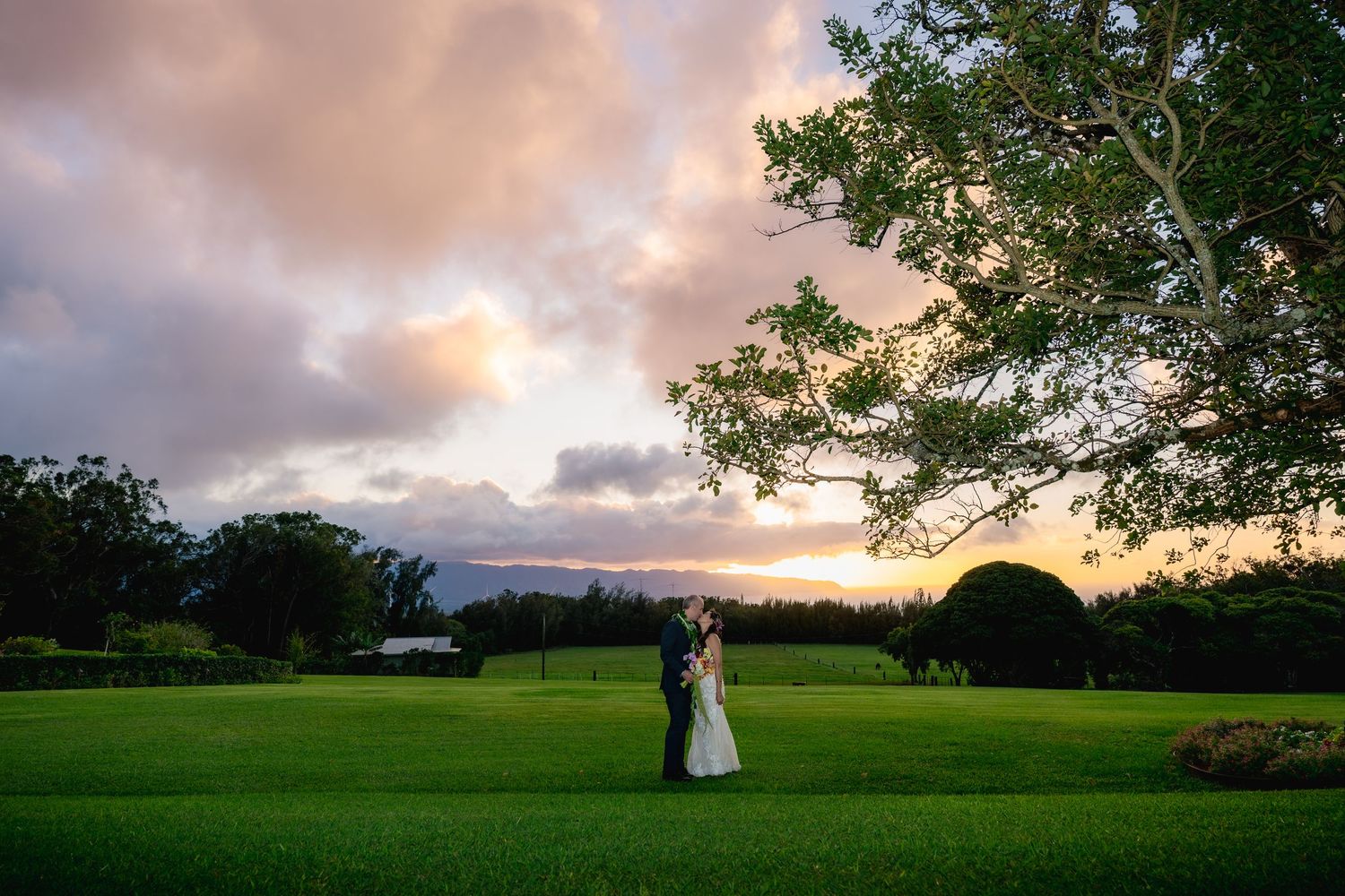 Bride and groom on grassy field with purple clouds in sky and sky fading with sunset.
