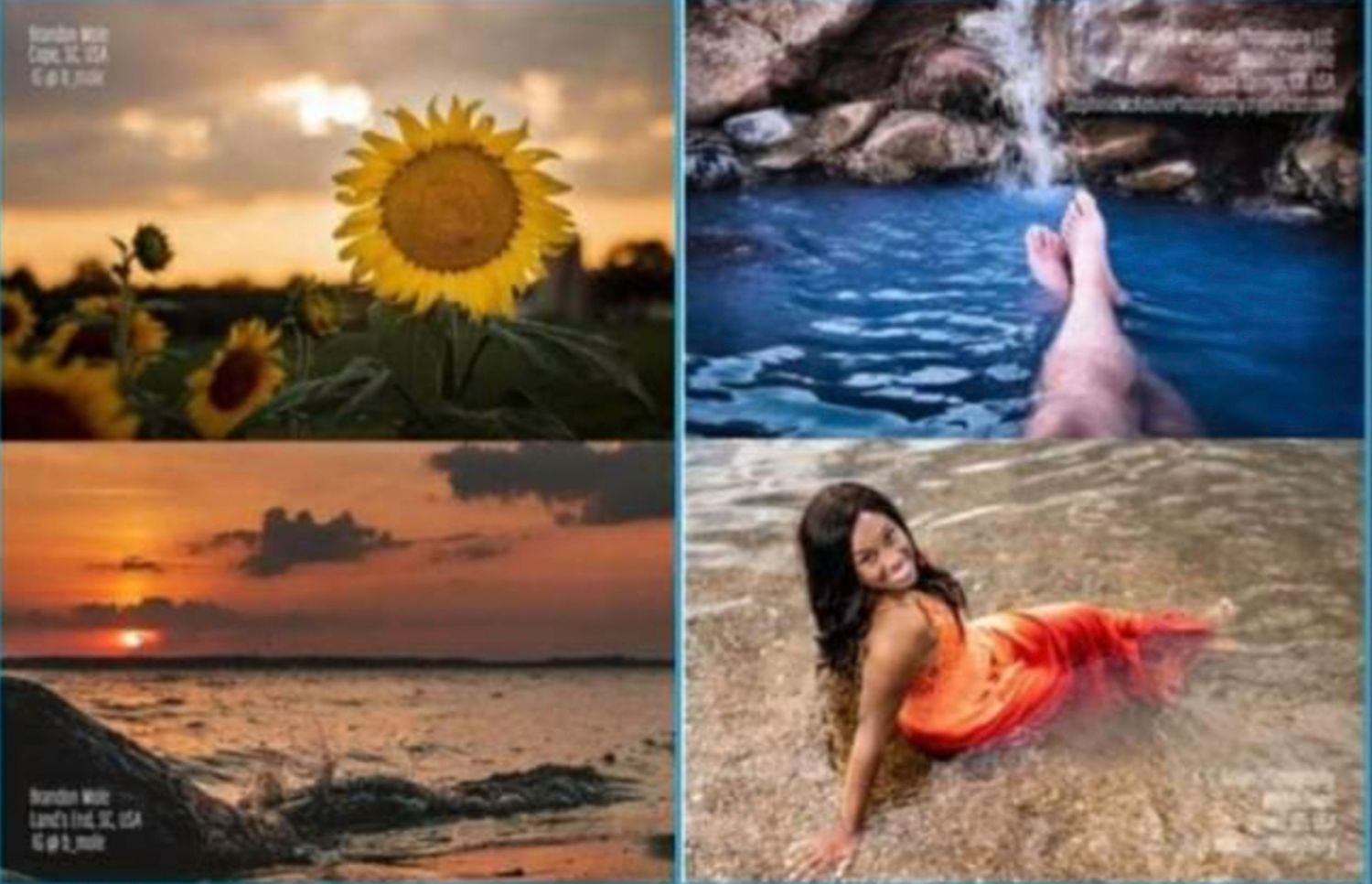 Photo collage featuring sunflower at sunset, ocean view, and beach photography.