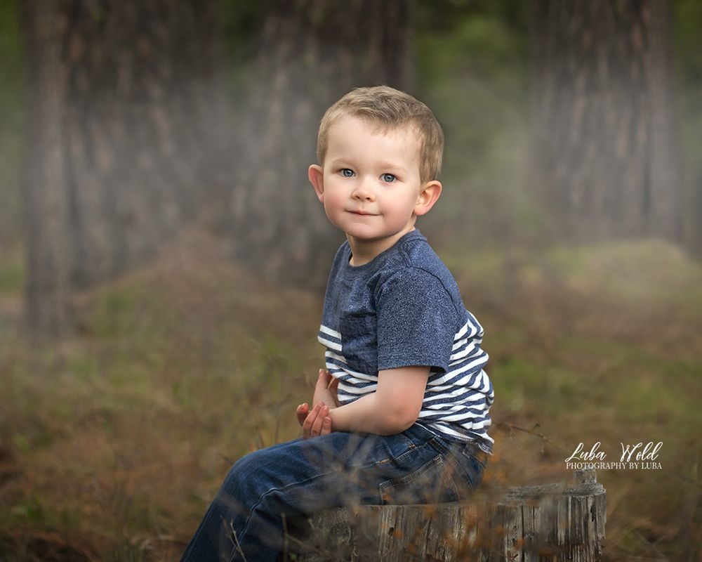 art portrait of a 4 year old boy sitting on a tree stump in the woods with fog backdrop by Luba Wold Post Falls family photographer