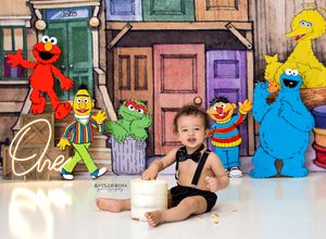 Sesame Street characters Elmo, Oscar, Ernie, Big Bird and Cookie Monster pose against painted backdrop in playful scene.