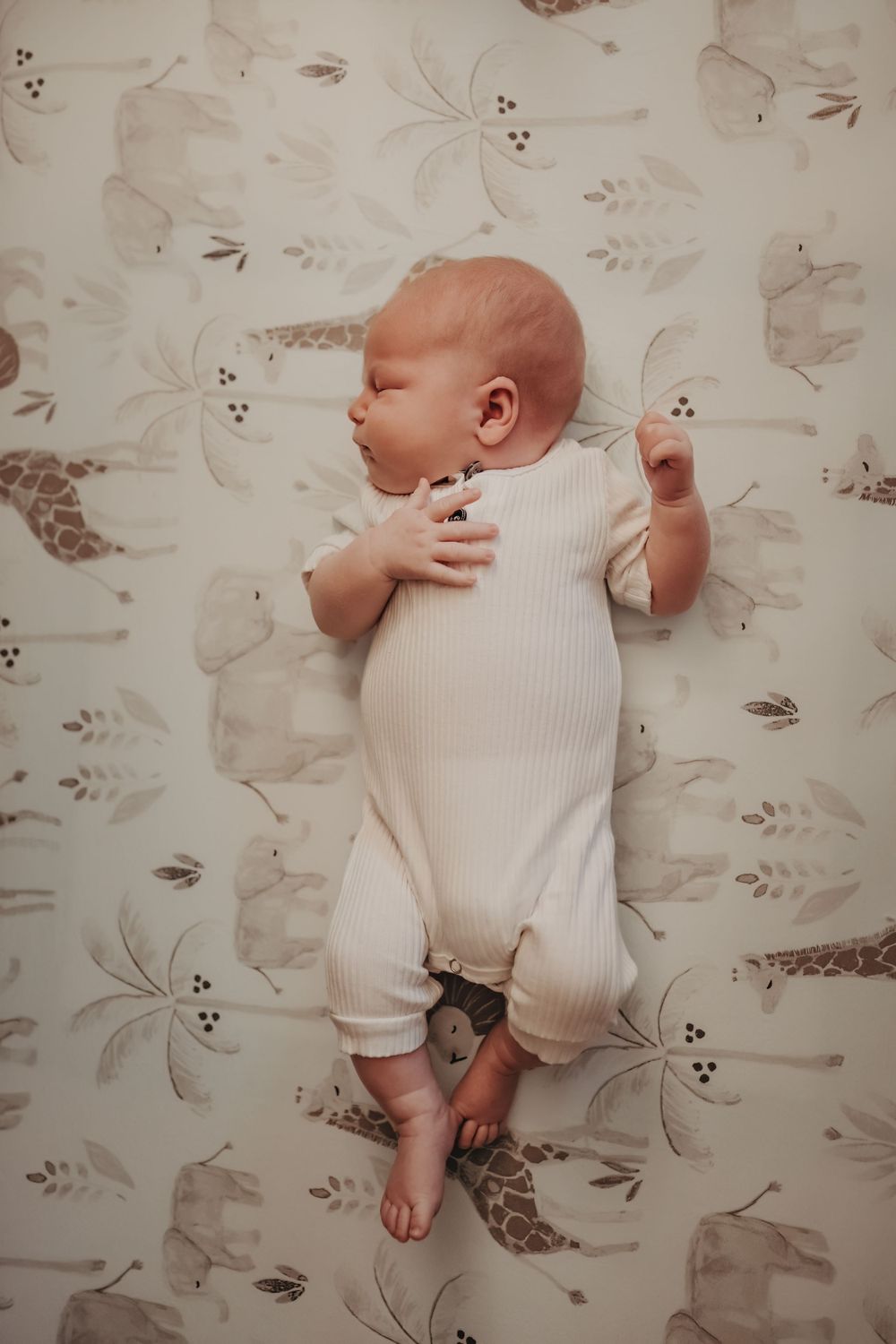 Madison, Wi newborn photography