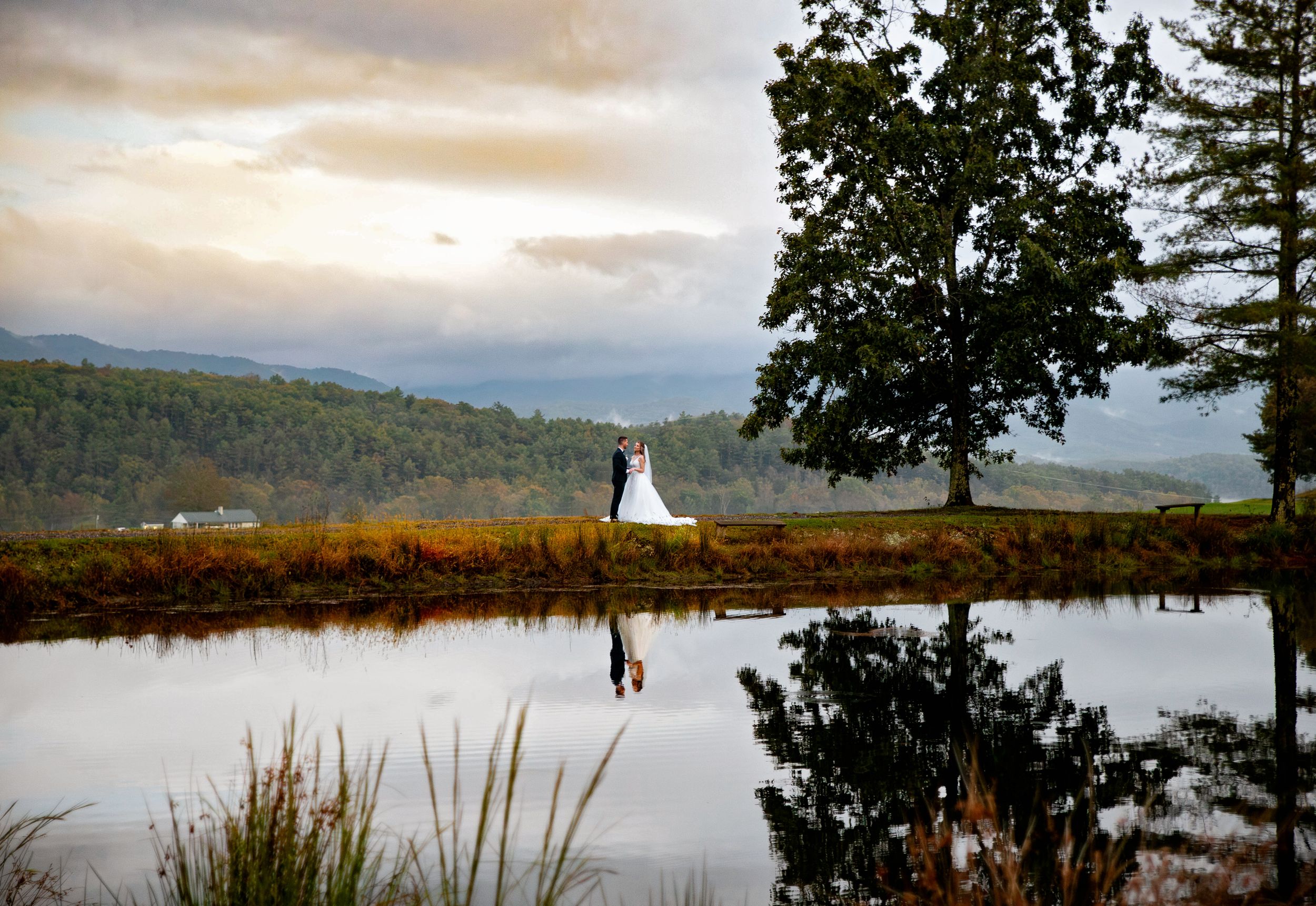 A panoramic series of lake views with mountains and trees at sunset showing a peaceful waterfront landscape.