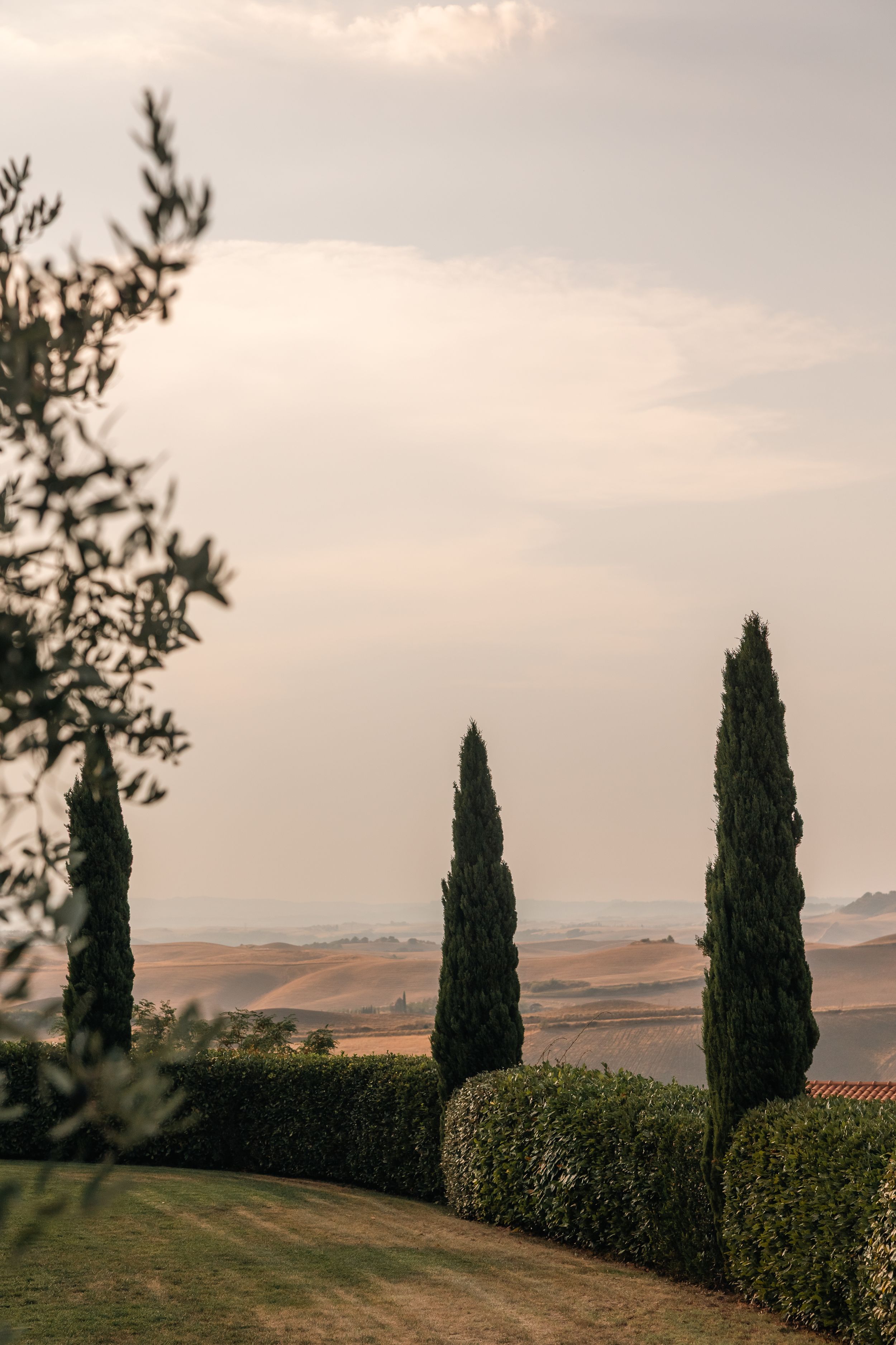 Tall cypress trees and manicured hedges frame a scenic Tuscan countryside landscape at sunset.