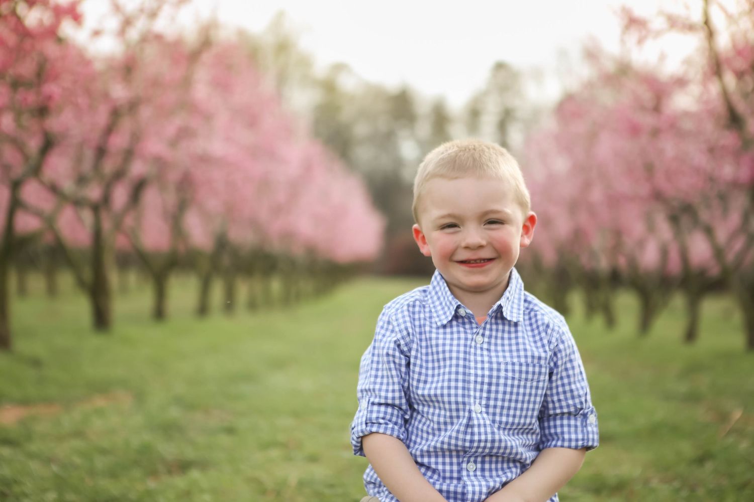 Little boy in Peachtree Orchards with pink blooms near Anne Close Greenway in Fort Mill, SC.