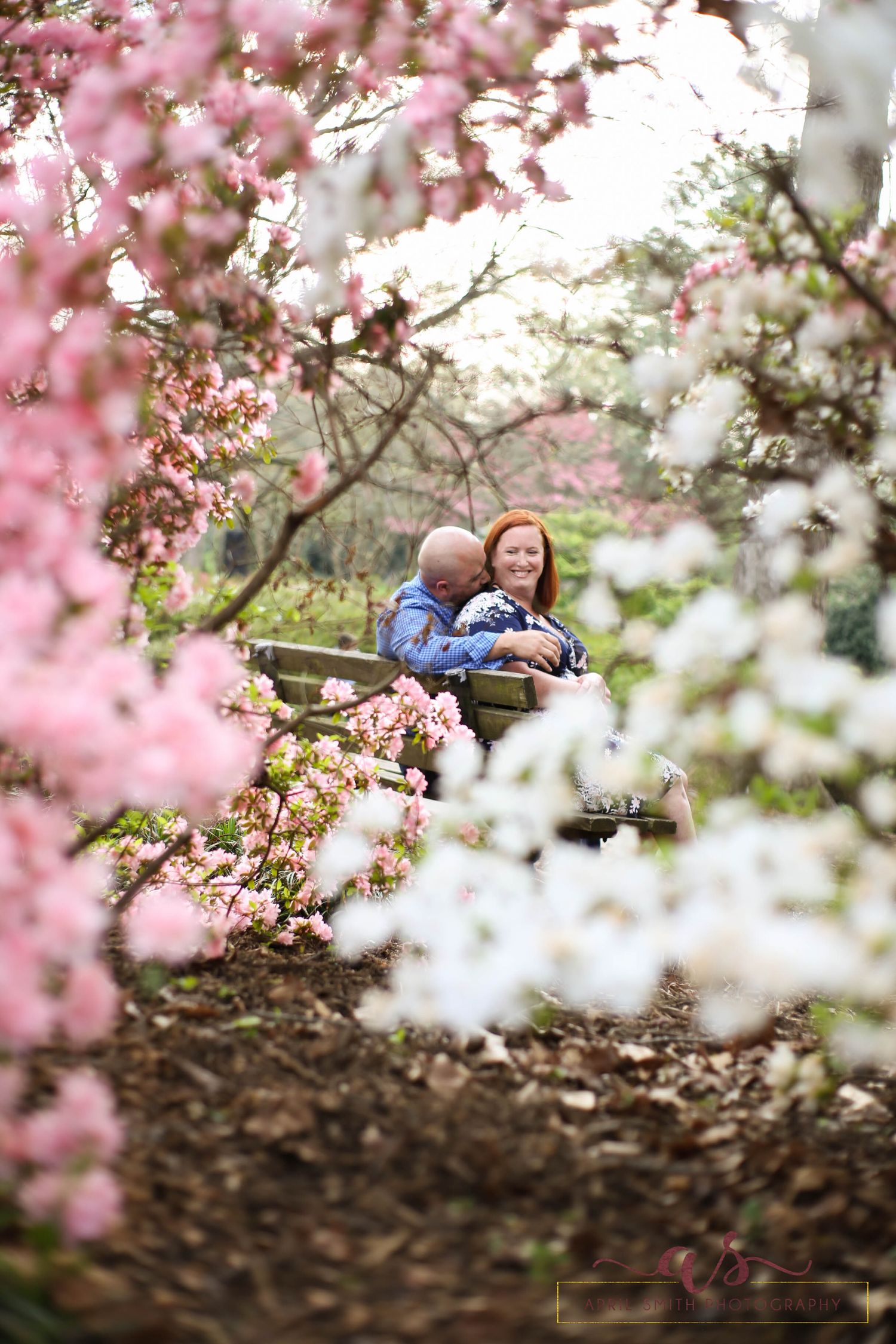 Secret moment captured through the pink and white spring Azella blooms Glencarin Gardens in Rock Hill, SC.