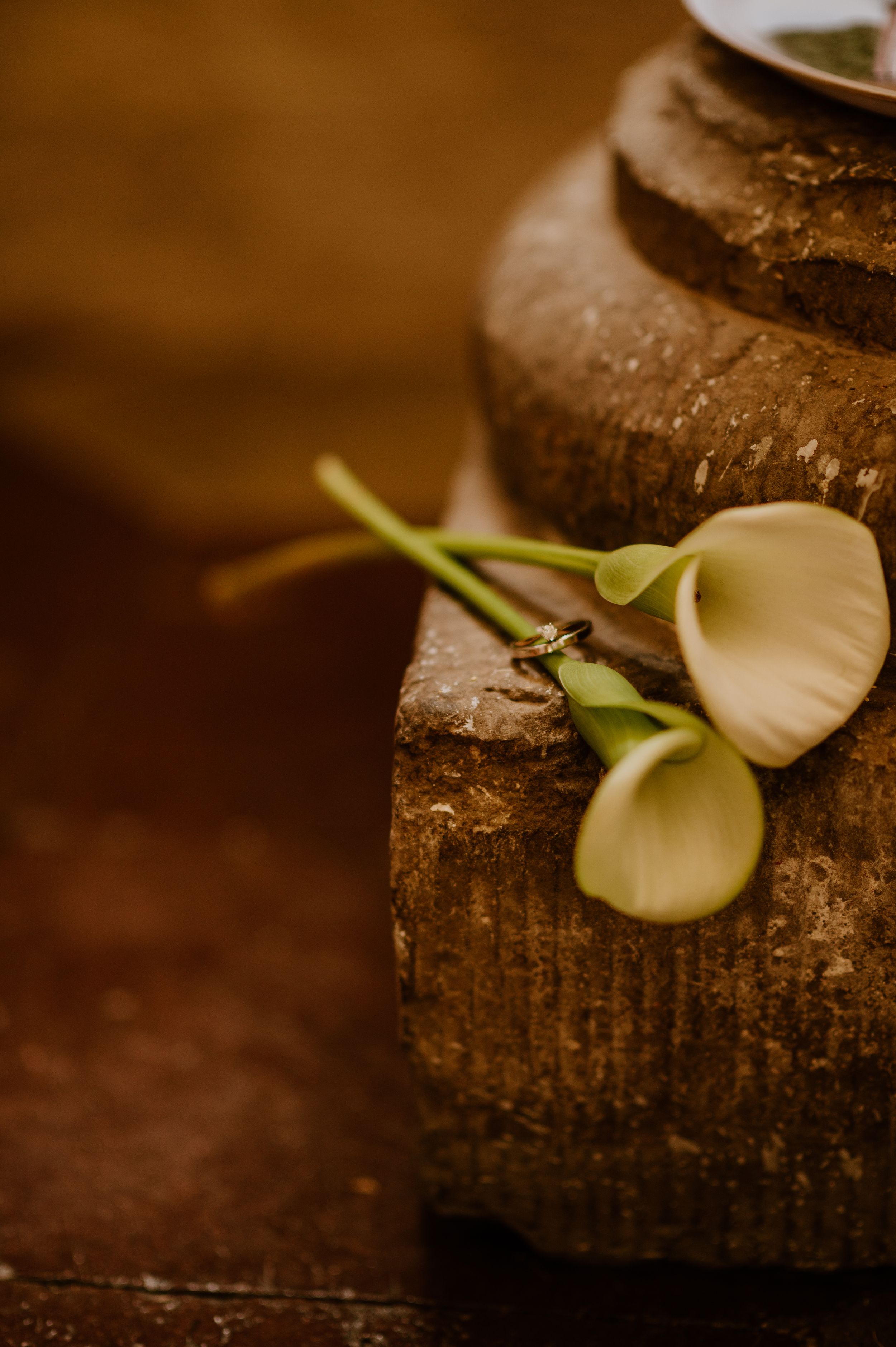 White calla lily flowers arranged in a row on rustic wooden surfaces create an elegant minimalist composition.