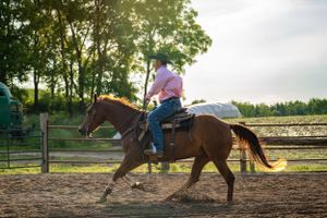 A rider practices horsemanship in a sand arena during sunrise.
