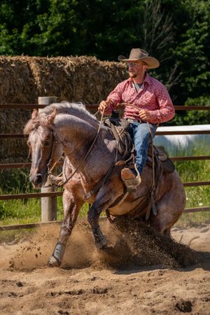 Cowboy riding horse kicks up dust during western riding performance in arena.
