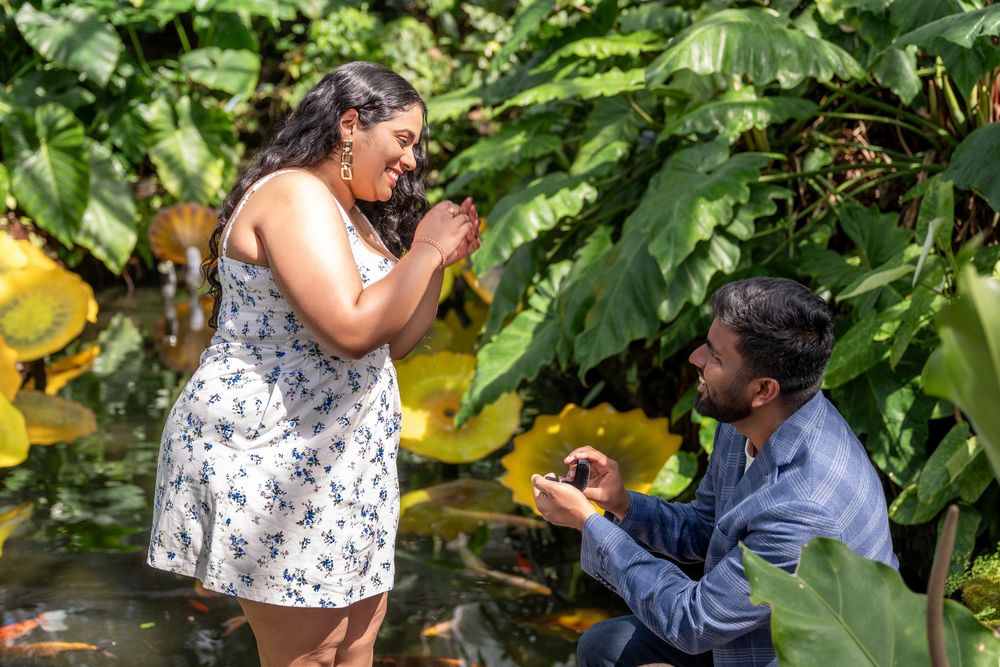 Man proposes to woman on one knee near a koi pond surrounded by tropical green plants outdoors.