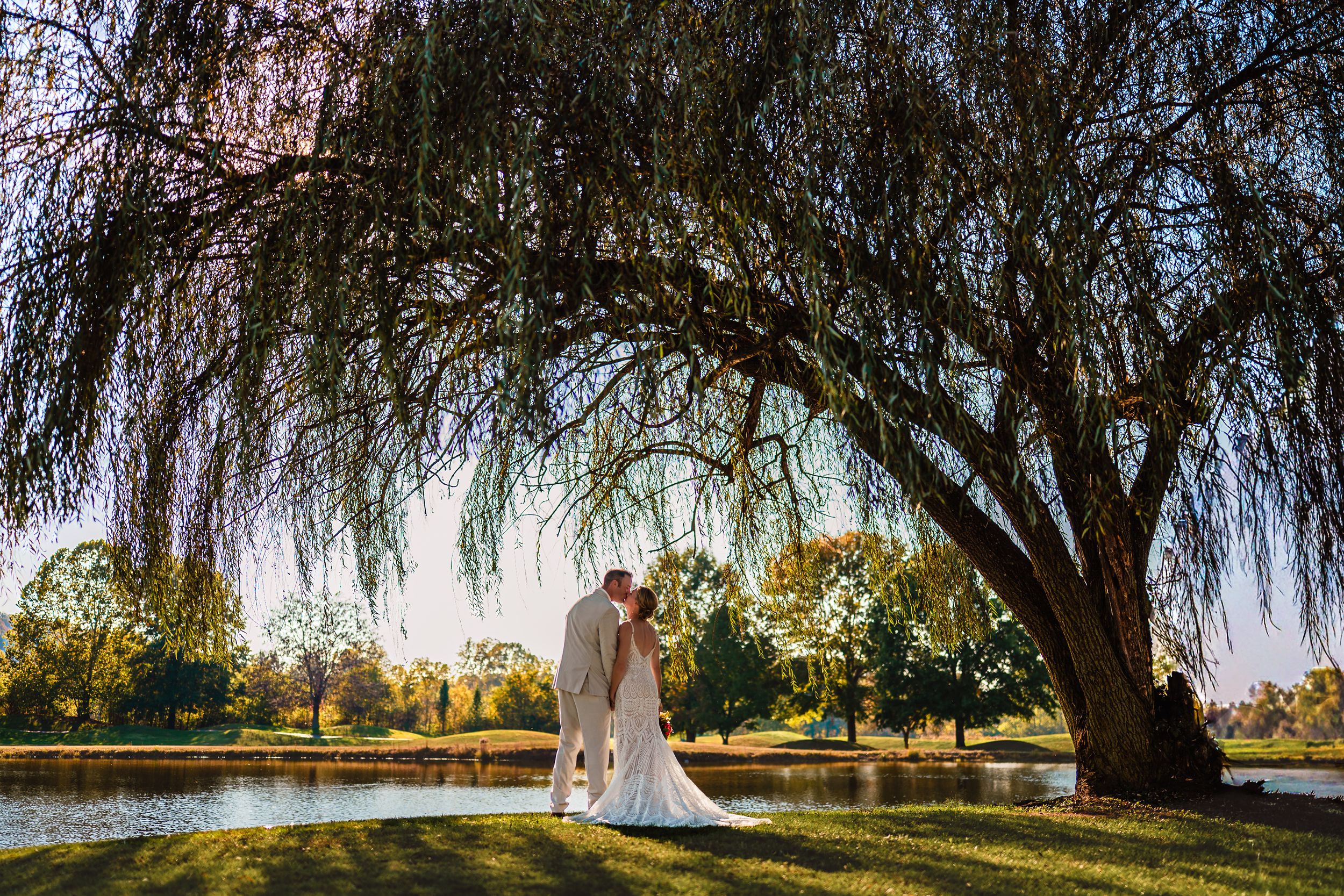 A panoramic view of a tranquil lake with willow trees drooping over the water during golden hour.