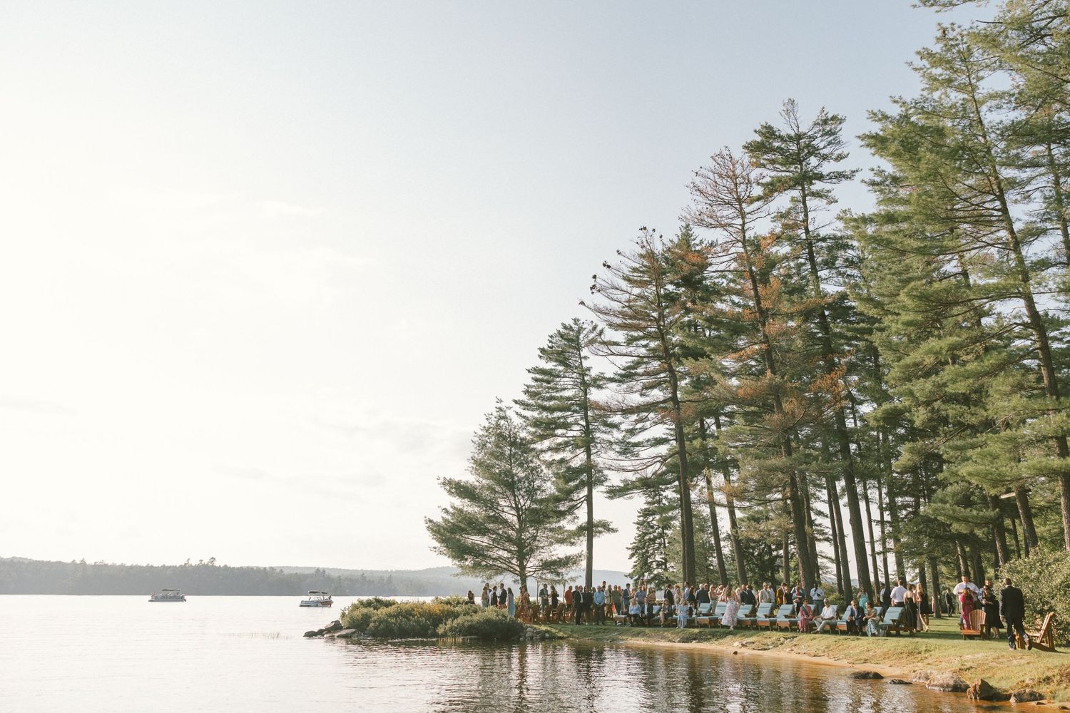 Panoramic view of a waterfront pine forest landscape.