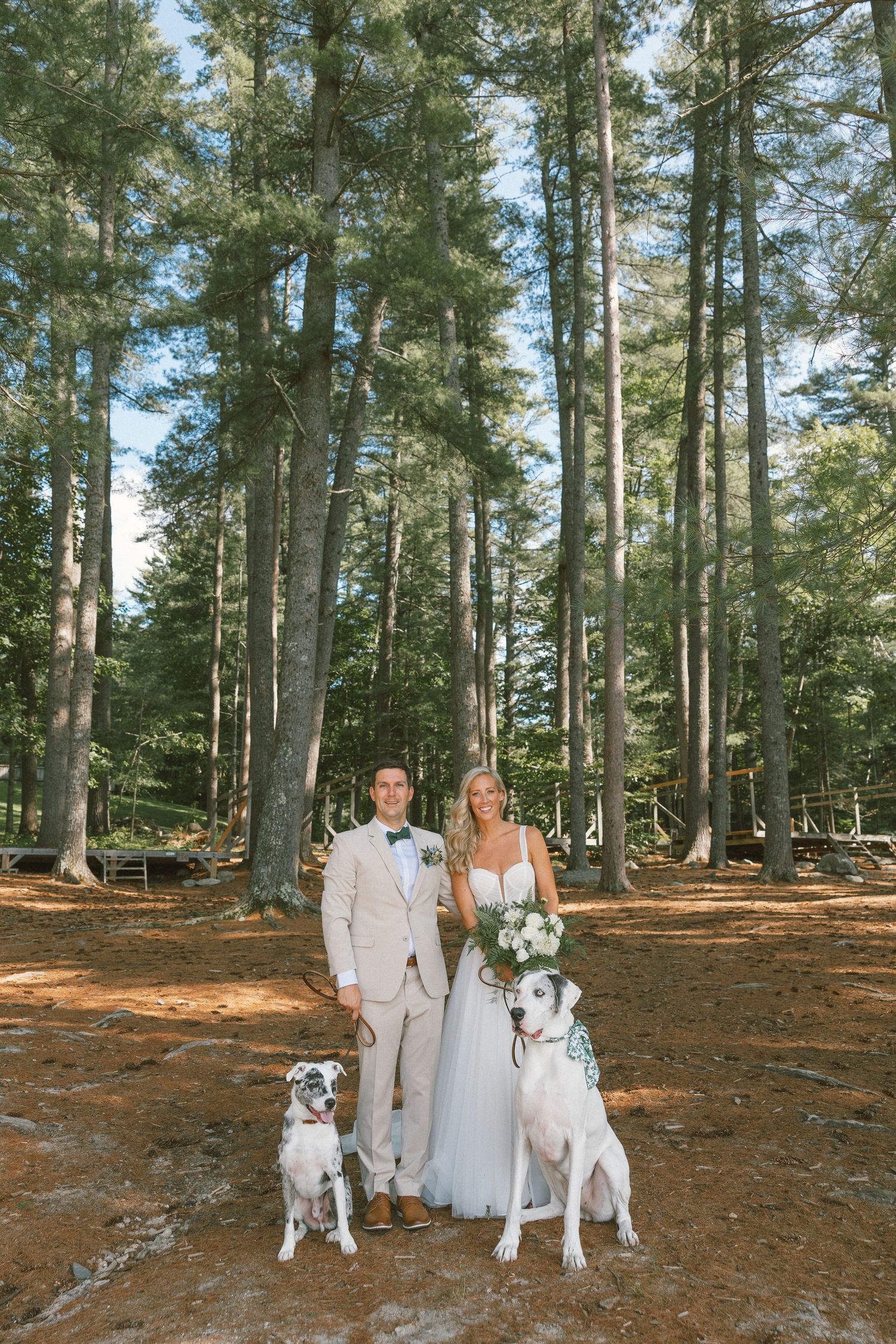 Wedding couple poses with their two white dogs in a tall pine forest.
