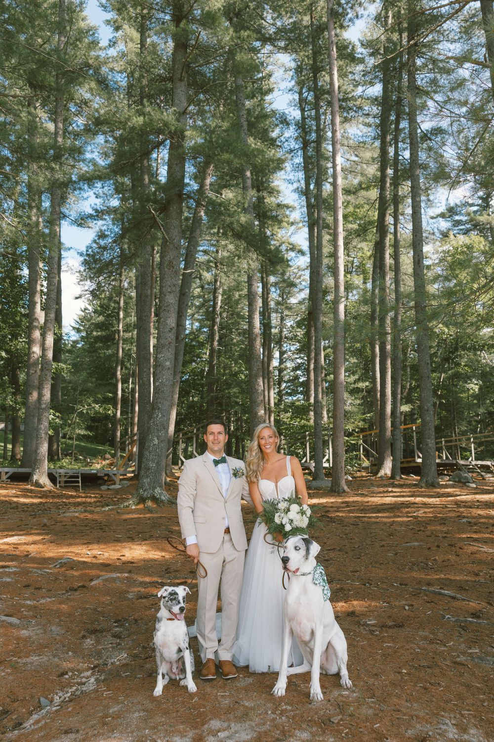 Wedding couple poses with their two white dogs in a tall pine forest.