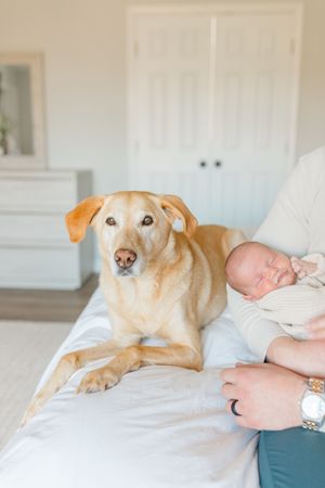 newborn baby boy and dog in newborn session In Gainesville Virginia