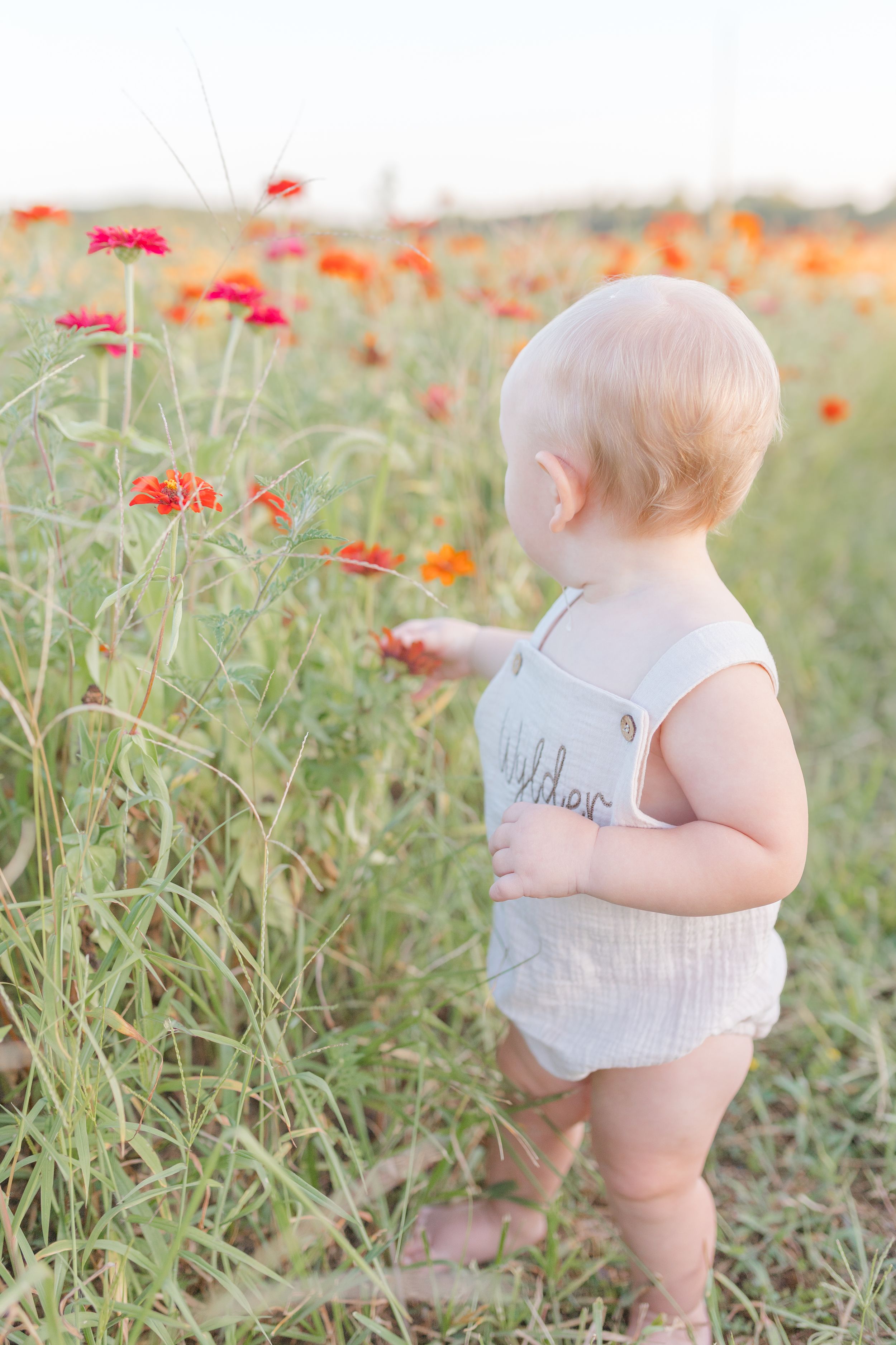 child in flower field in Nokesville Virginia