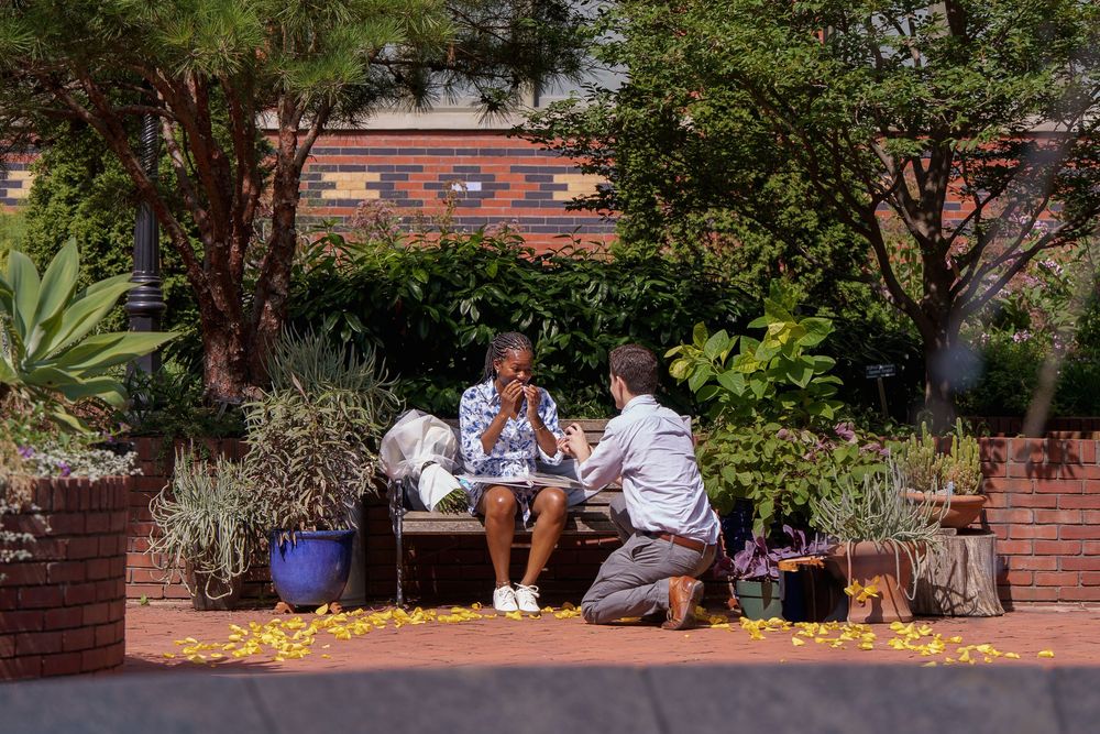 proposal, man down on a knee to propose to his girlfriend, in washington DC