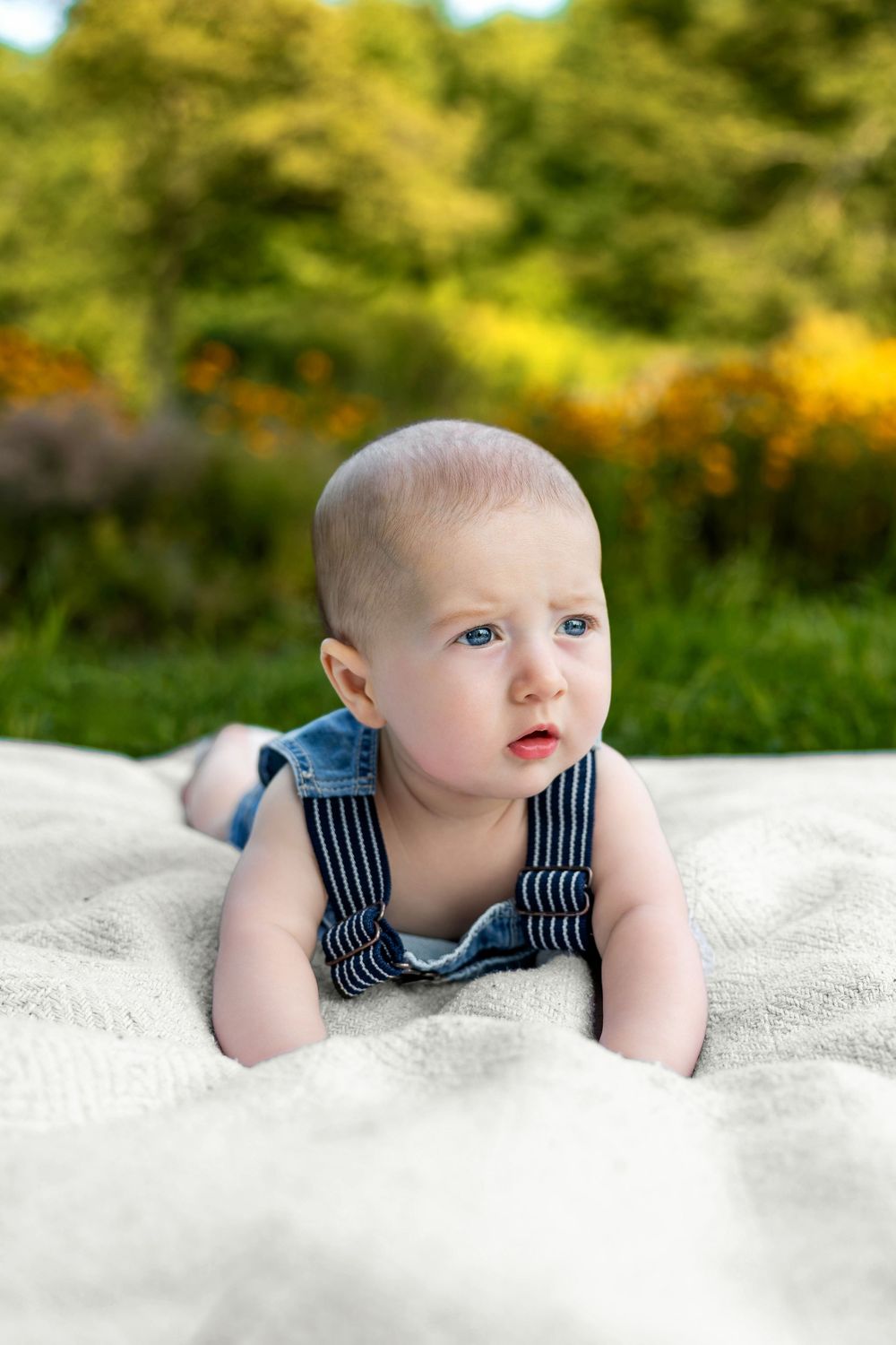 A cute baby in denim overalls doing tummy time on a white blanket outdoors with green trees in background.
